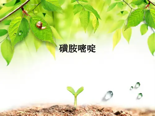 磺胺嘧啶ppt课件