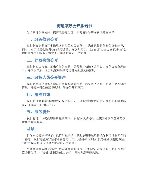 街道领导公开承诺书