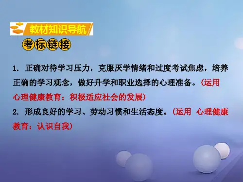 精品九年级全一册第五单元迎接挑战设计未来课件1湘教版可编辑