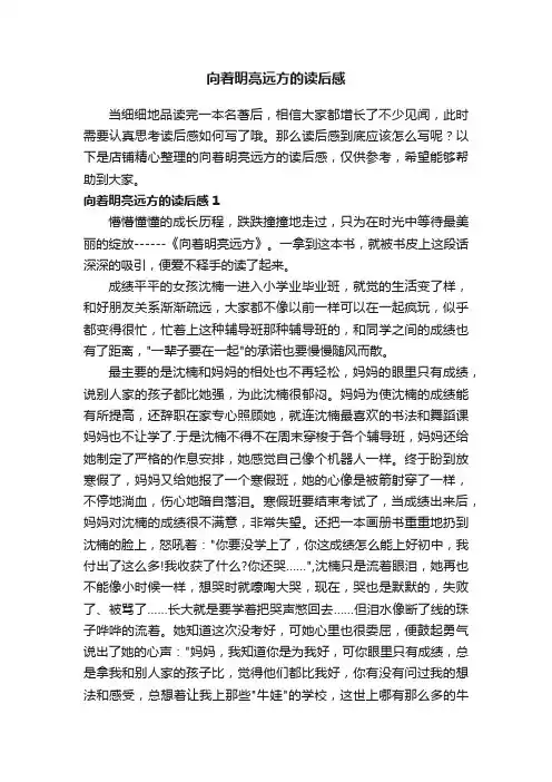 向着明亮远方的读后感