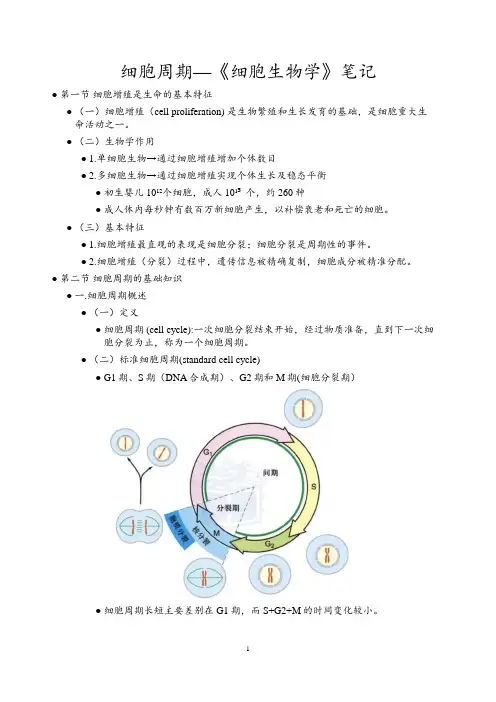 细胞周期—《细胞生物学》笔记