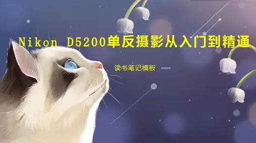 Nikon D5200单反摄影从入门到精通
