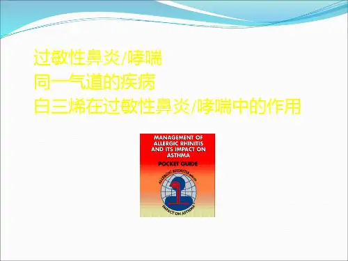 鼻炎ppt课件
