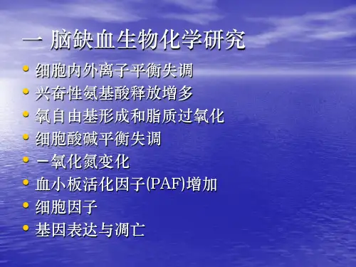 脑缺血神经元损伤机制_PPT课件