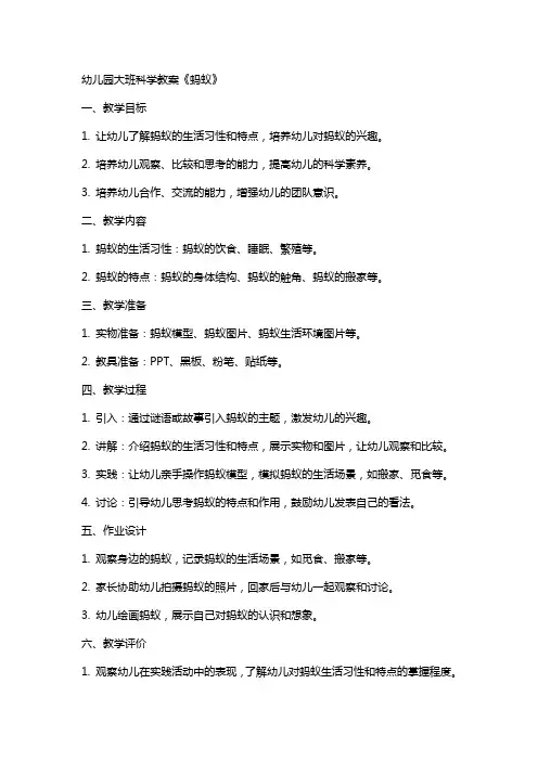 幼儿园大班科学教案《蚂蚁》