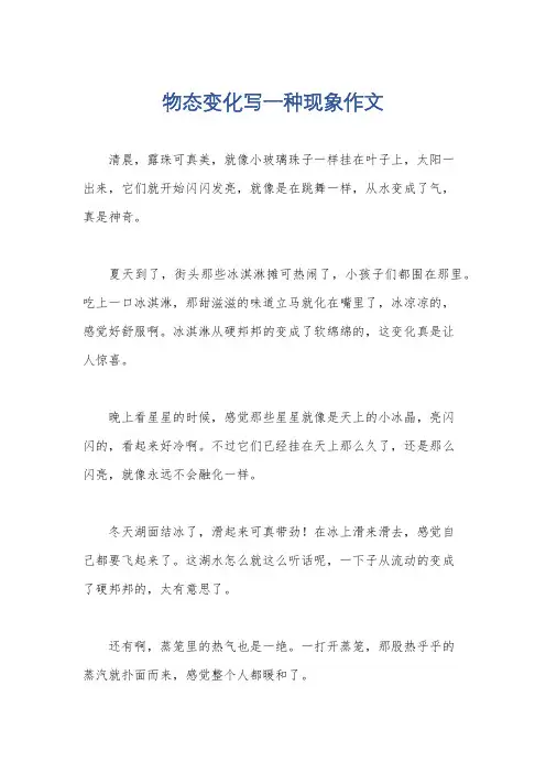 物态变化写一种现象作文