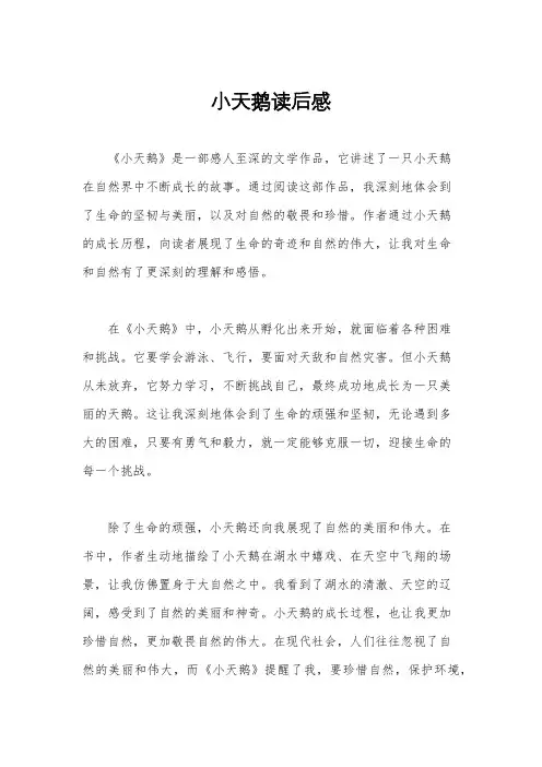 小天鹅读后感