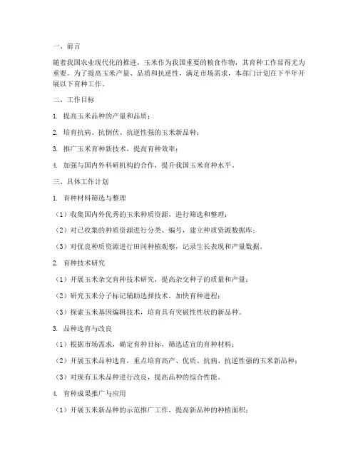 玉米育种下半年工作计划