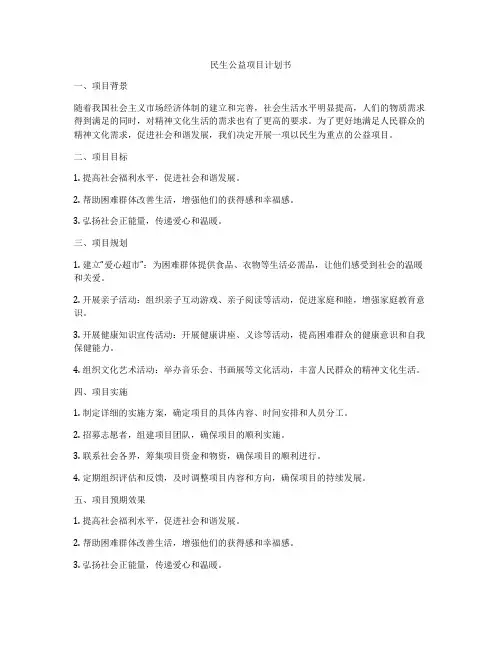 民生公益项目计划书