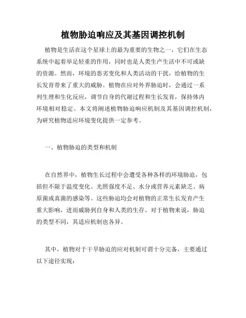 植物胁迫响应及其基因调控机制