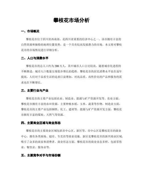 攀枝花市场分析