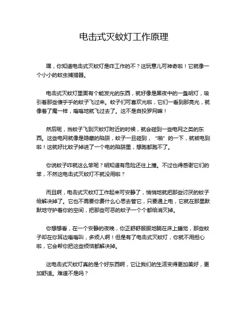 电击式灭蚊灯工作原理
