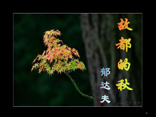 《故都的秋》一等奖课件