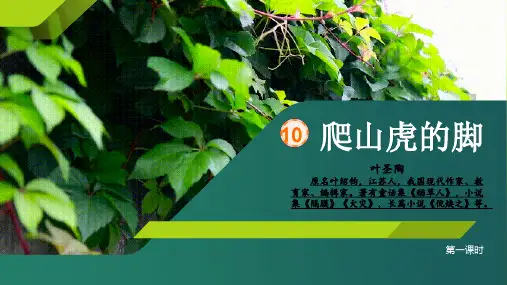 10爬山虎的脚  课件(共39张PPT)