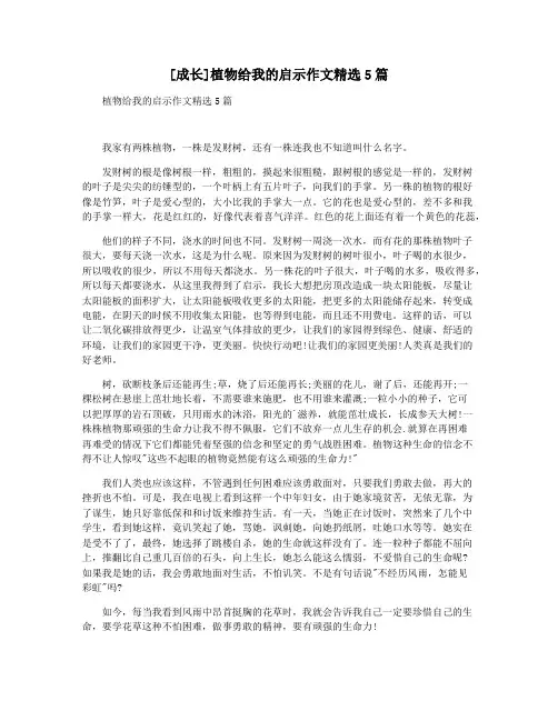 [成长]植物给我的启示作文精选5篇