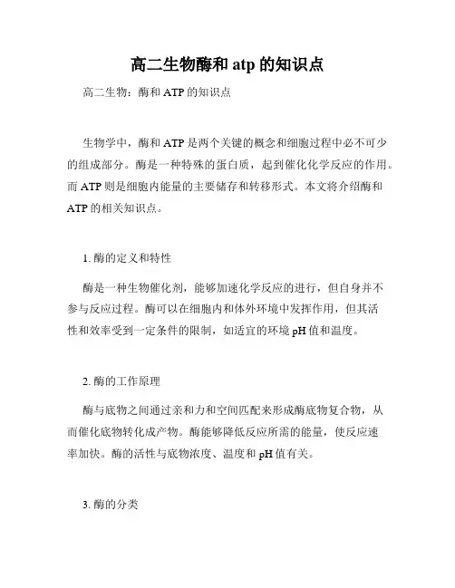 高二生物酶和atp的知识点