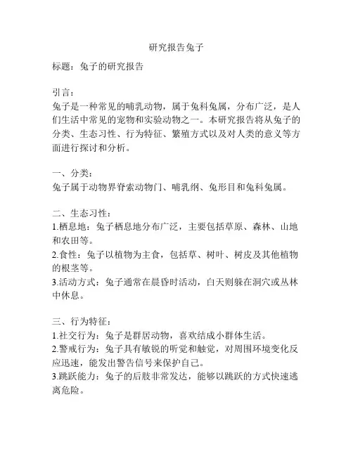 研究报告兔子