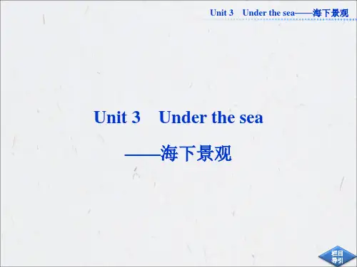 2013高考英语一轮总复习优化课件(山东专用)：Unit3 Under the sea