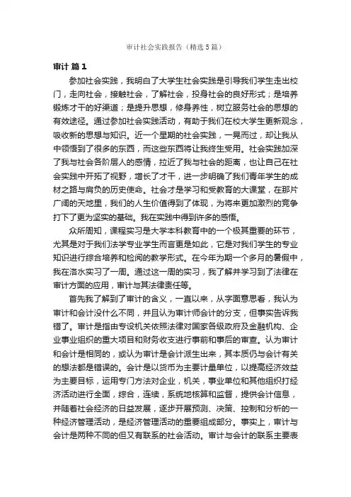 审计社会实践报告（精选5篇）