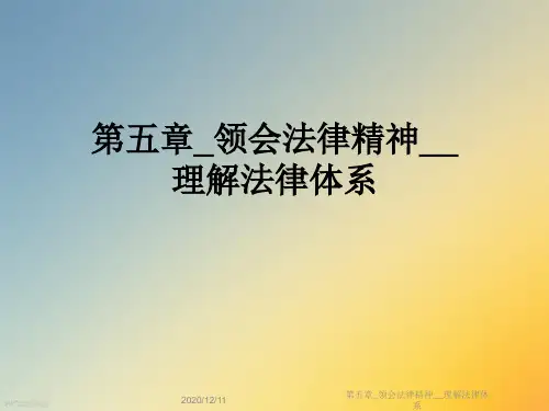 第五章_领会法律精神__理解法律体系
