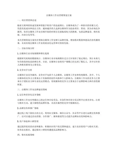 自媒体工作室营销策划方案