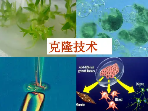 浙科版高中生物选修三2.2植物的克隆 课件 (共19张PPT)