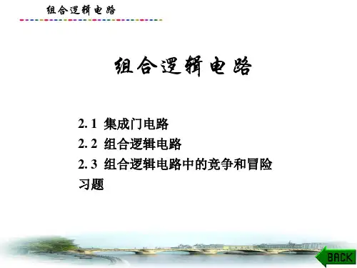 数字电路与逻辑设计(第三版)课件：组合逻辑电路