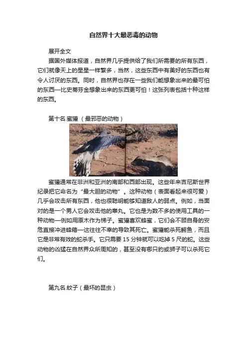 自然界十大最恶毒的动物