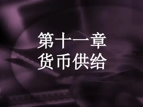 货币银行学--课件PPT11