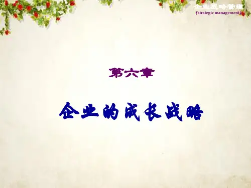 企业的成长战略讲义课件(ppt 46页)