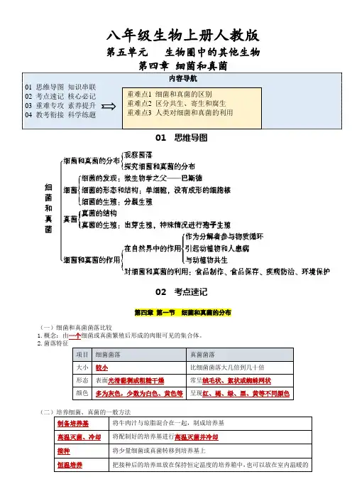 八年级生物上册人教版第五单元第四章 细菌和真菌【考点速记】(解析版)