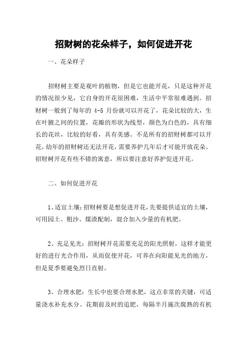 招财树的花朵样子,如何促进开花