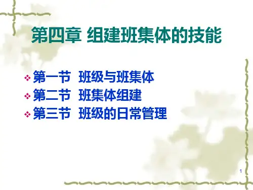 班集体建设课件PPT课件