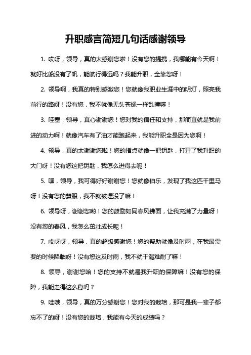 升职感言简短几句话感谢领导
