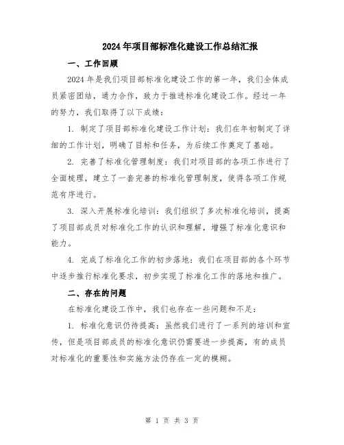 2024年项目部标准化建设工作总结汇报