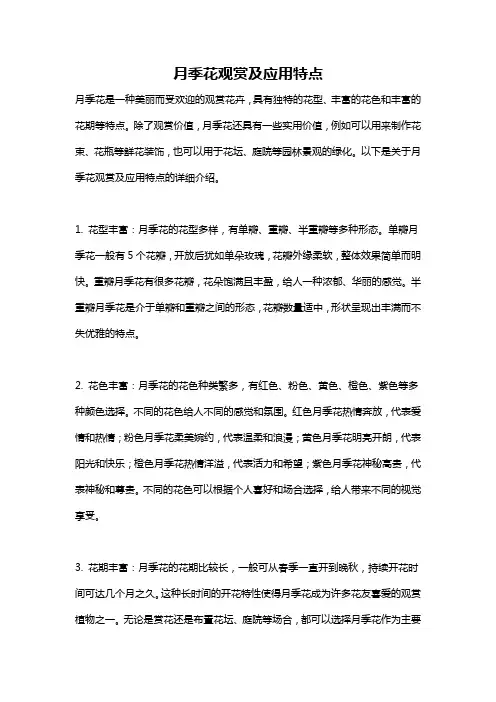 月季花观赏及应用特点