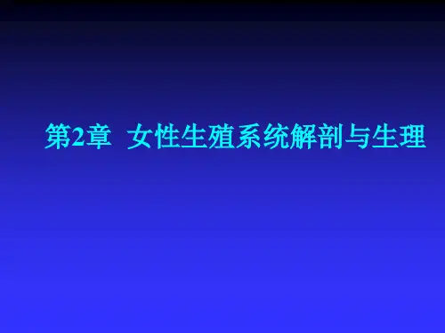 妇产科学第2章 女性生殖系统解剖与生理 PPT课件
