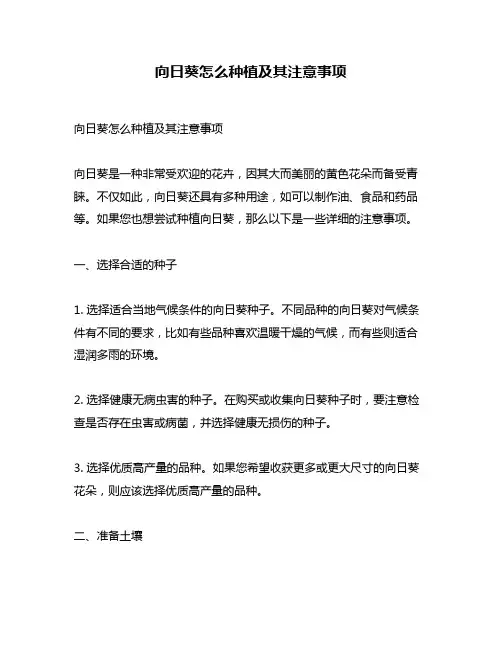 向日葵怎么种植及其注意事项