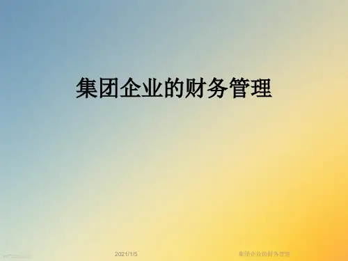 集团企业的财务管理