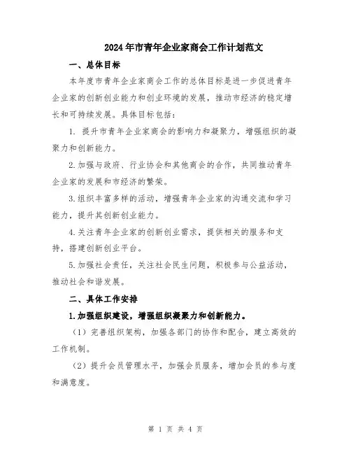 2024年市青年企业家商会工作计划范文