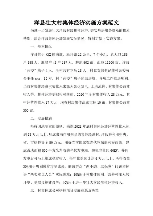 洋县壮大村集体经济实施方案范文