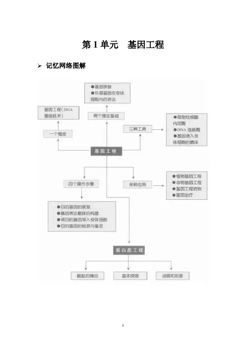 高中生物选修3知识总结