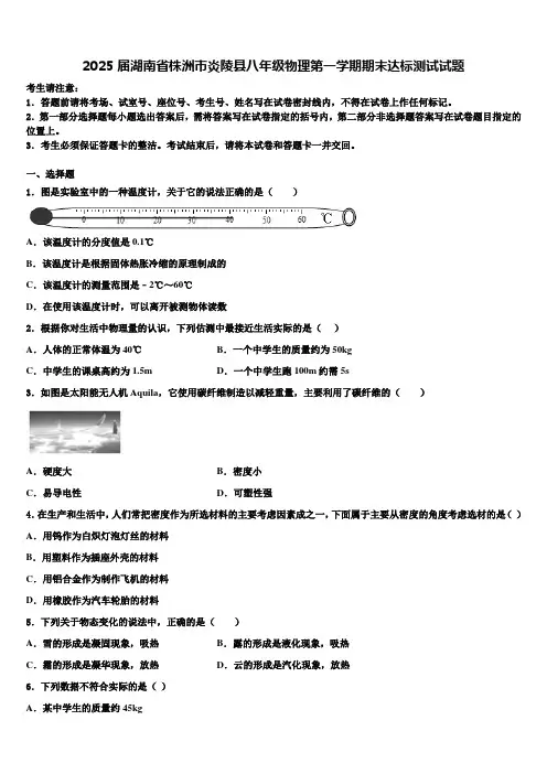 2025届湖南省株洲市炎陵县八年级物理第一学期期末达标测试试题含解析