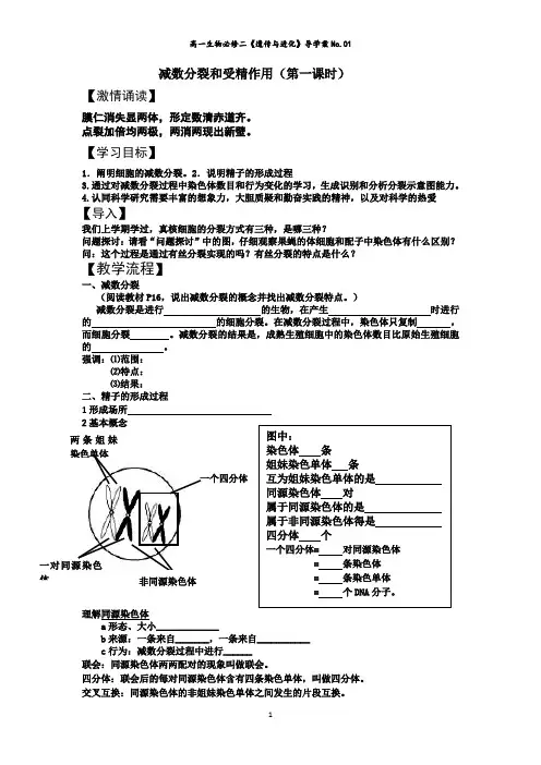 高中生物必修二第二章第一节减数分裂(一)学案