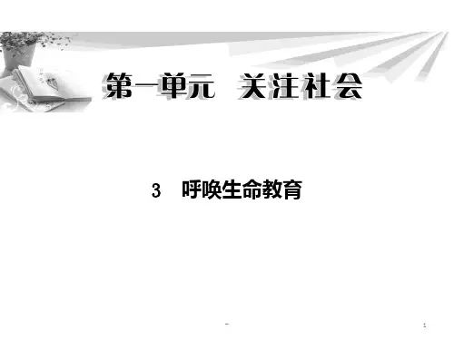 呼唤生命教育PPT课件