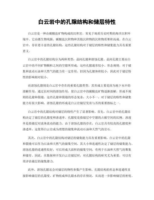 白云岩中的孔隙结构和储层特性