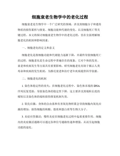 细胞衰老生物学中的老化过程