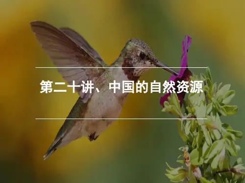 第二十讲、中国自然资源(共27张PPT)