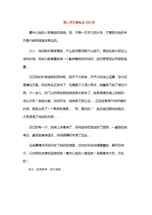 写人作文带批注300字