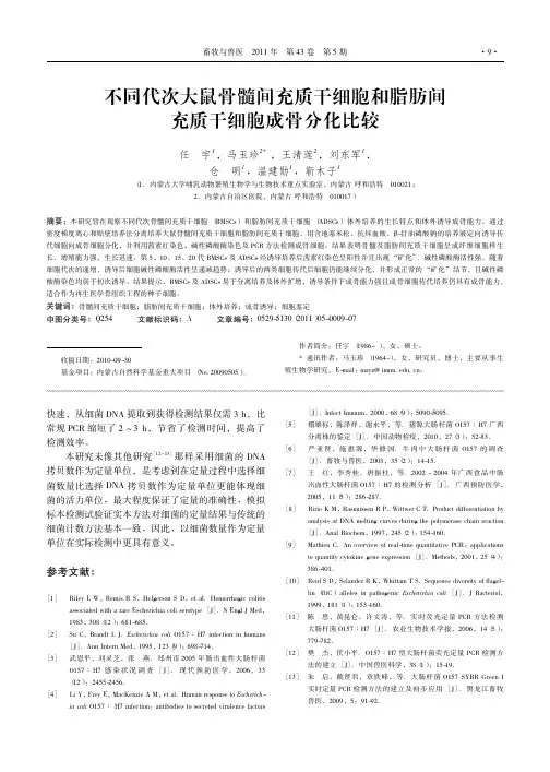 不同代次大鼠骨髓间充质干细胞和脂肪间充质干细胞成骨分化比较